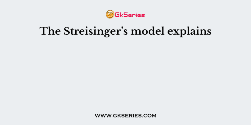 The Streisinger’s model explains