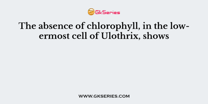 The absence of chlorophyll, in the lowermost cell of Ulothrix, shows