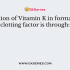 Most of the vitamin B12 in the body is stored as