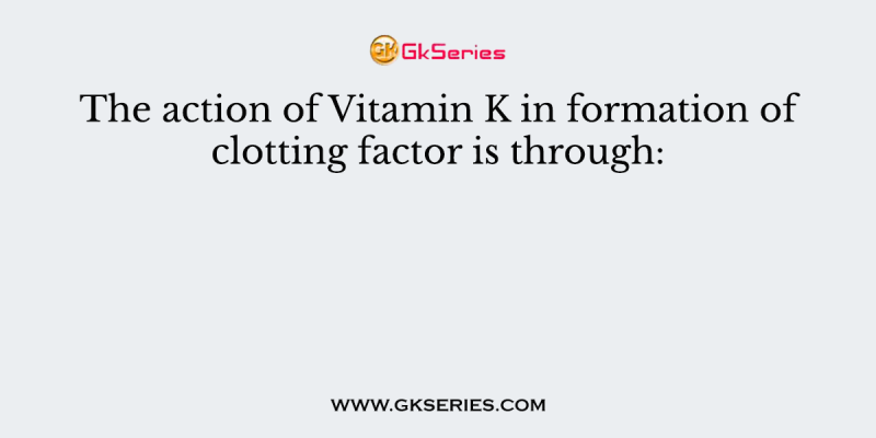 The action of Vitamin K in formation of clotting factor is through