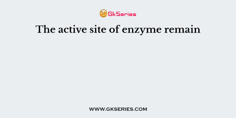 The active site of enzyme remain