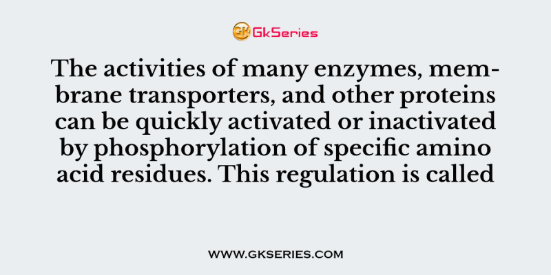 The activities of many enzymes, membrane transporters, and other proteins can be quickly activated or inactivated by phosphorylation of specific amino acid residues. This regulation is called