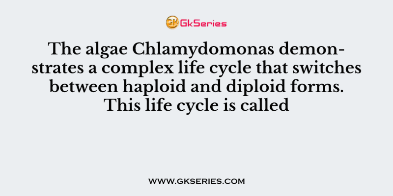 The algae Chlamydomonas demonstrates a complex life cycle that switches between haploid and diploid forms. This life cycle is called