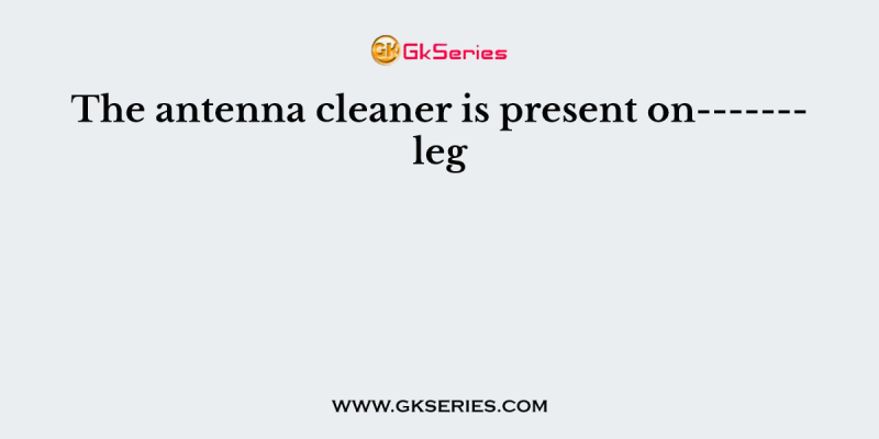 The antenna cleaner is present on——- leg