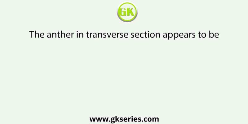 The anther in transverse section appears to be