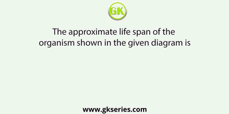 The approximate life span of the organism shown in the given diagram is