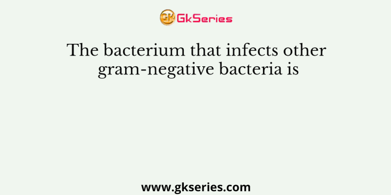 The bacterium that infects other gram-negative bacteria is