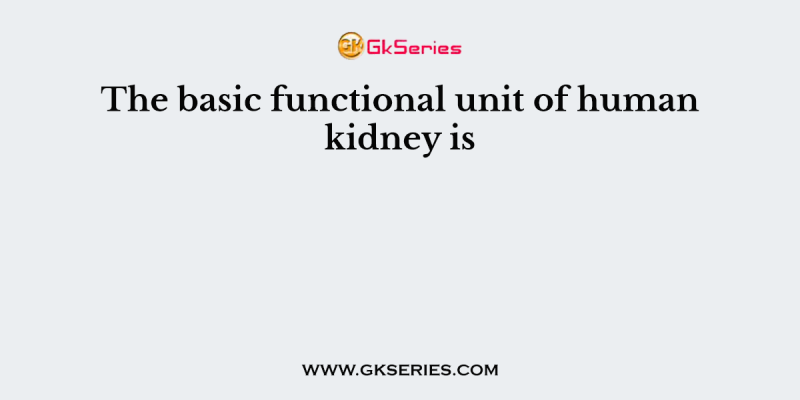 The basic functional unit of human kidney is
