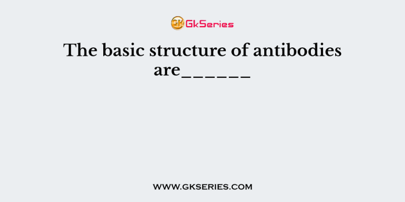 The basic structure of antibodies are______