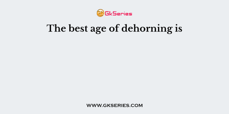 The best age of dehorning is