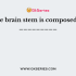 ________ is a quick response to the stimuli that passes the brain.