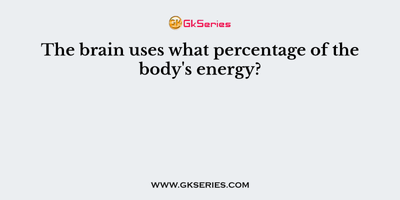 The brain uses what percentage of the body’s energy?