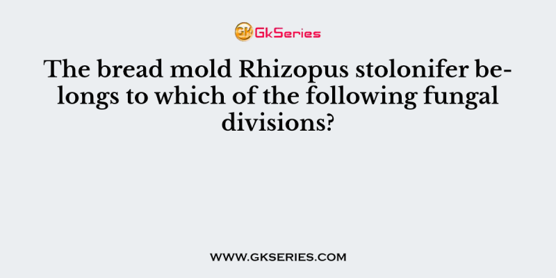 The bread mold Rhizopus stolonifer belongs to which of the following fungal divisions?
