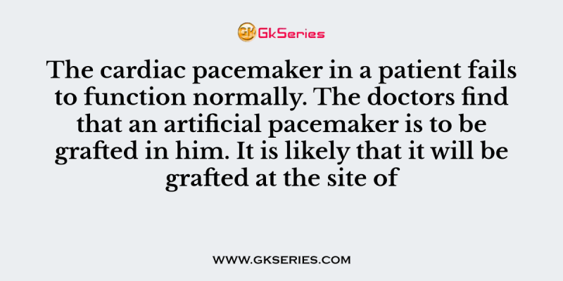 The cardiac pacemaker in a patient fails to function normally. The doctors find that an artificial pacemaker is to be grafted in him. It is likely that it will be grafted at the site of