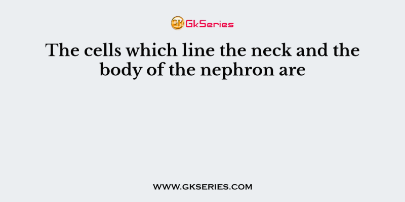 The cells which line the neck and the body of the nephron are