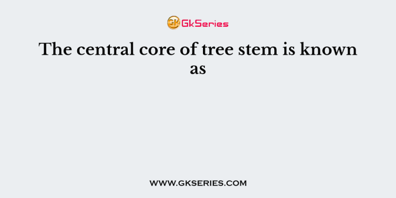 The central core of tree stem is known as