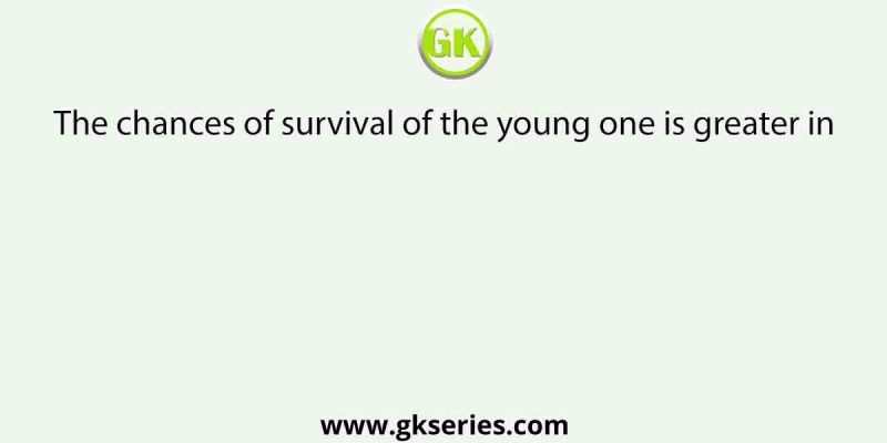 The chances of survival of the young one is greater in