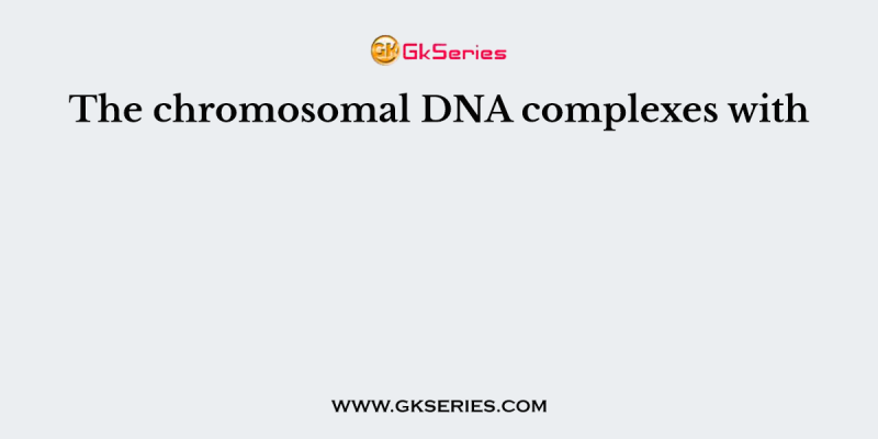 The chromosomal DNA complexes with