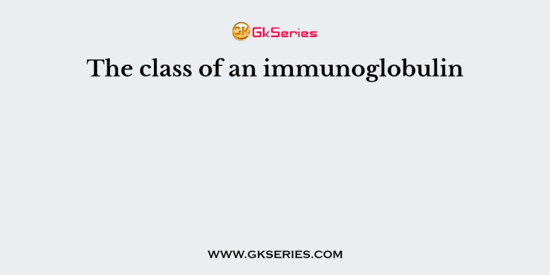 The class of an immunoglobulin