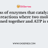 Enzyme that differ in amino acid sequence but catalyze the same reaction are  