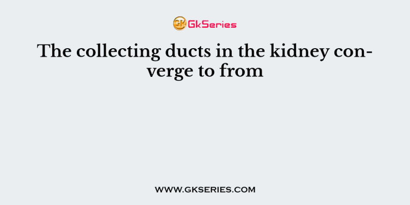 The collecting ducts in the kidney converge to from