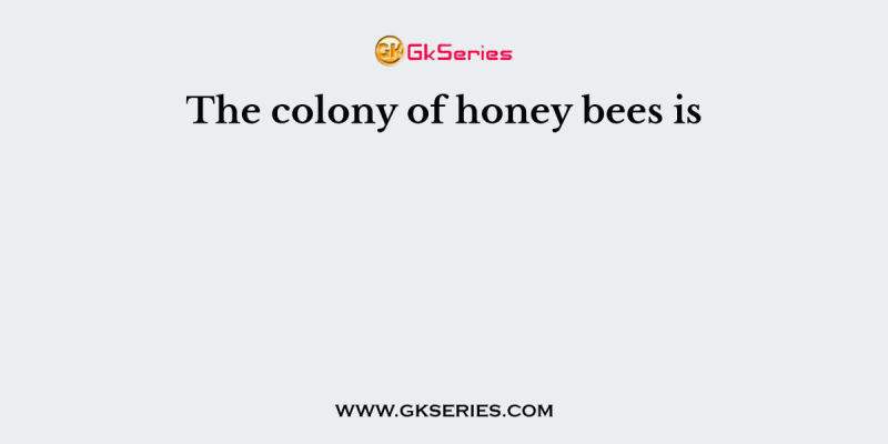 The colony of honey bees is