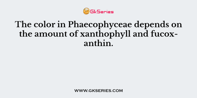 The color in Phaecophyceae depends on the amount of xanthophyll and fucoxanthin.
