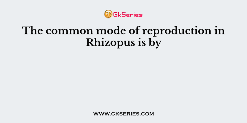 The common mode of reproduction in Rhizopus is by