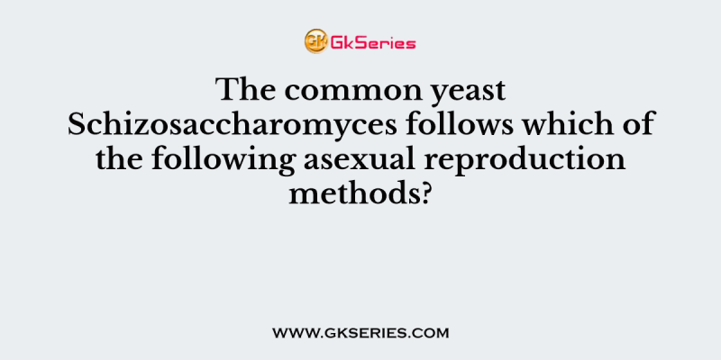 The common yeast Schizosaccharomyces follows which of the following asexual reproduction methods?