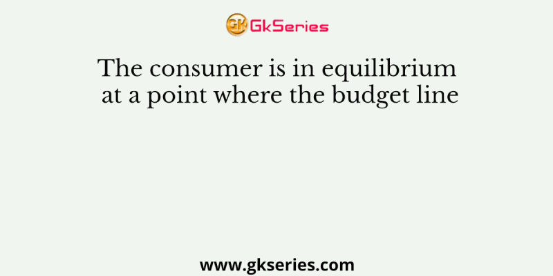The consumer is in equilibrium at a point where the budget line