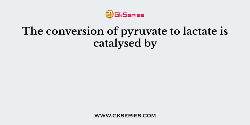 The conversion of pyruvate to lactate is catalysed by