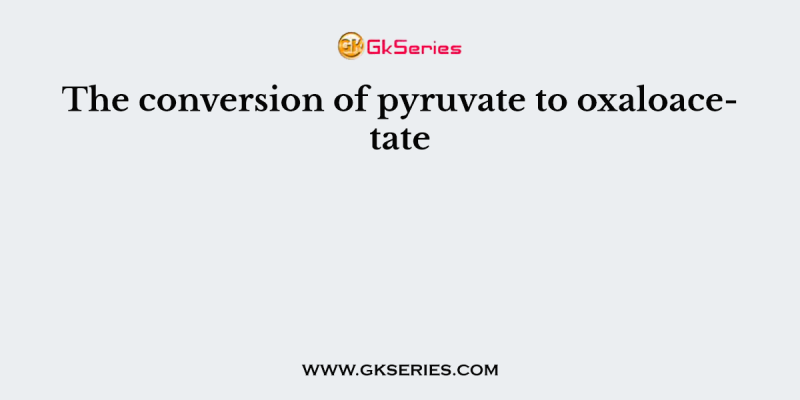 The conversion of pyruvate to oxaloacetate