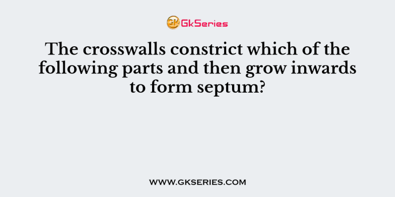 The crosswalls constrict which of the following parts and then grow inwards to form septum?