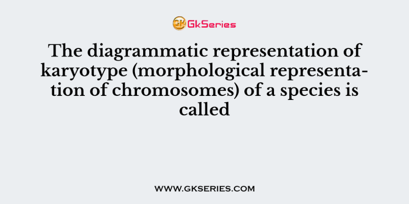 The diagrammatic representation of karyotype (morphological representation of chromosomes) of a species is called