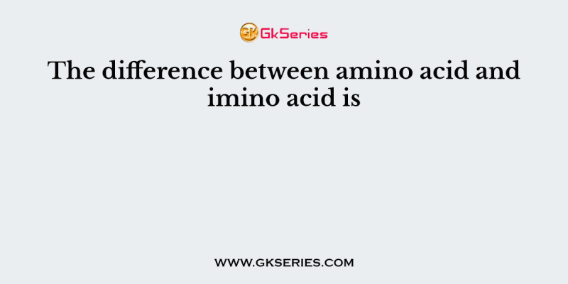 The difference between amino acid and imino acid is