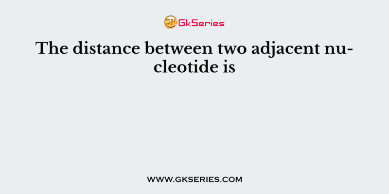 The distance between two adjacent nucleotide is