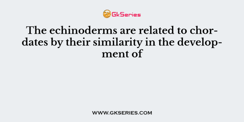 The echinoderms are related to chordates by their similarity in the development of