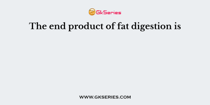The end product of fat digestion is