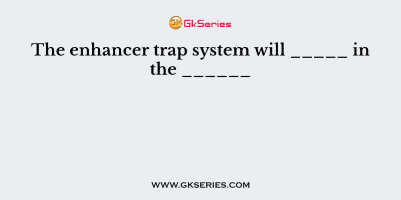 The enhancer trap system will _____ in the ______