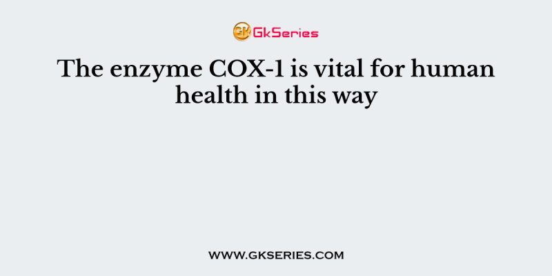 The enzyme COX-1 is vital for human health in this way