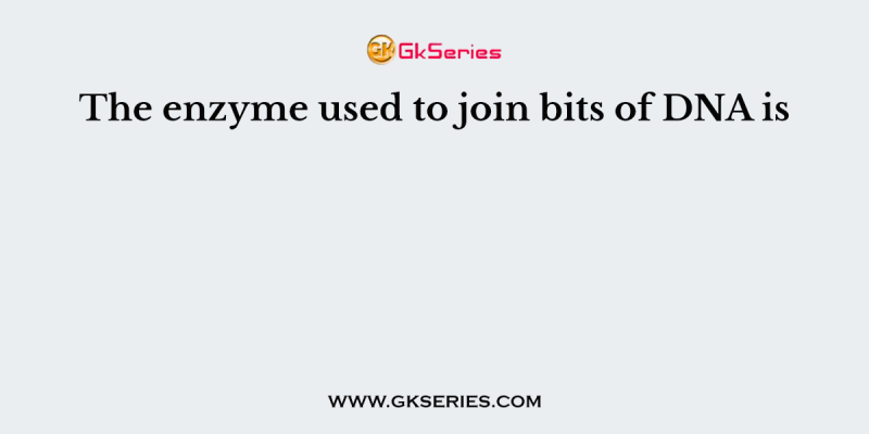 The enzyme used to join bits of DNA is