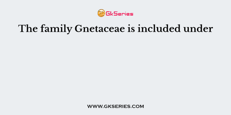The family Gnetaceae is included under