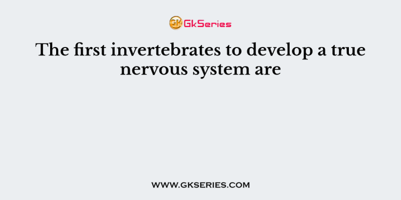 The first invertebrates to develop a true nervous system are