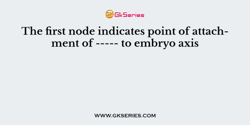 The first node indicates point of attachment of —– to embryo axis