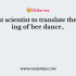 What is the scientific name of bumble bee?