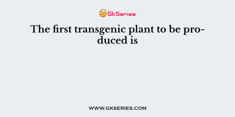 The first transgenic plant to be produced is