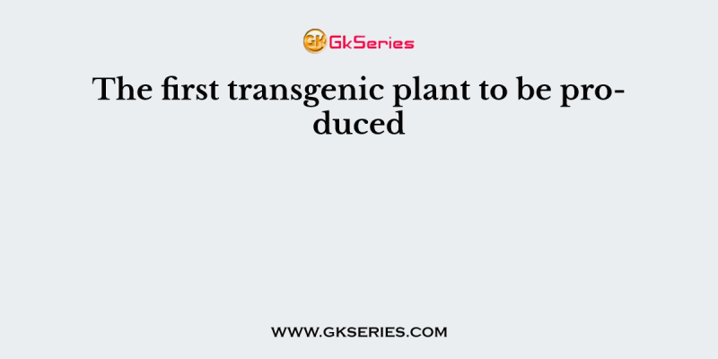 The first transgenic plant to be produced