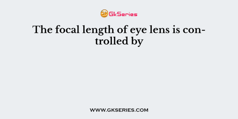 The focal length of eye lens is controlled by