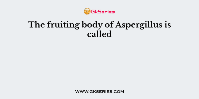 The fruiting body of Aspergillus is called