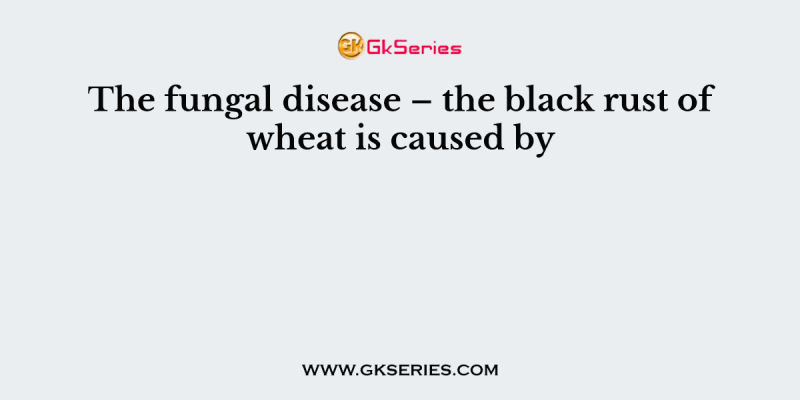 The fungal disease – the black rust of wheat is caused by